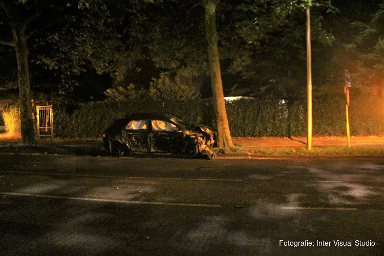 Auto tegen boom in Aerdenhout, bestuurder gewond