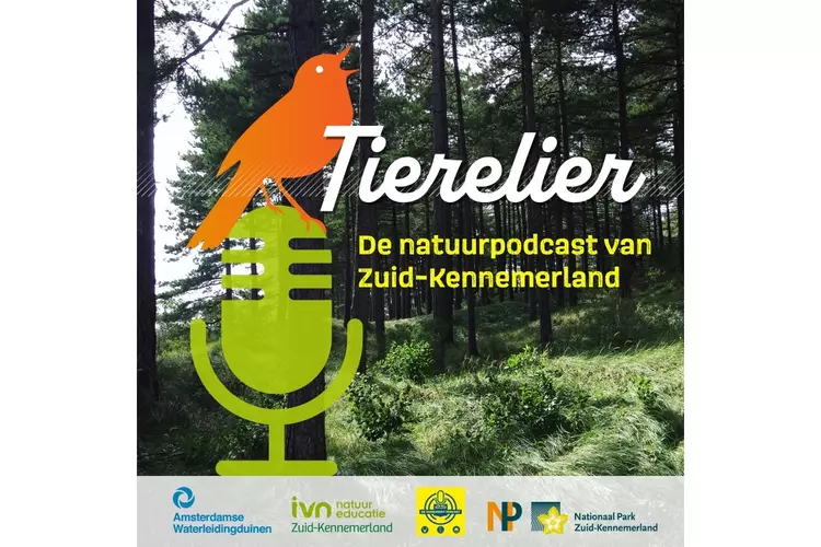 Tierelier, de natuurpodcast van Zuid-Kennemerland, besteedt aandacht aan de paddenstoelendag