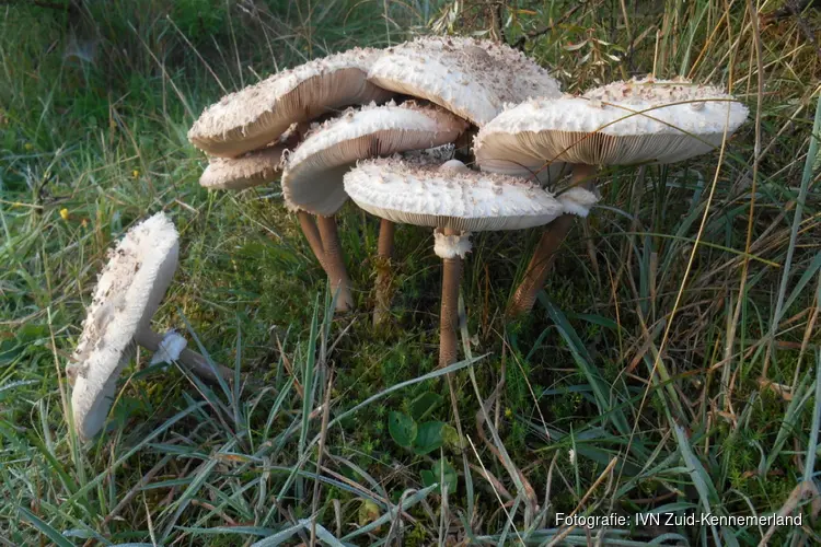 Beleef de duinen in de herfst