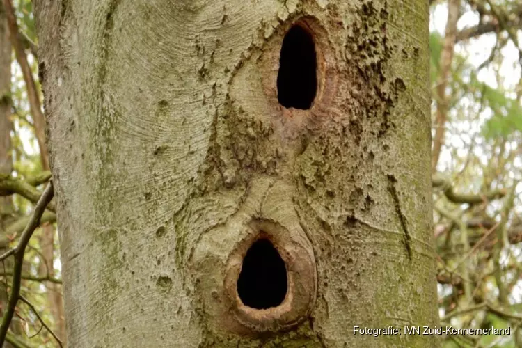 Excursie Dierensporen en Vogels Koningshof