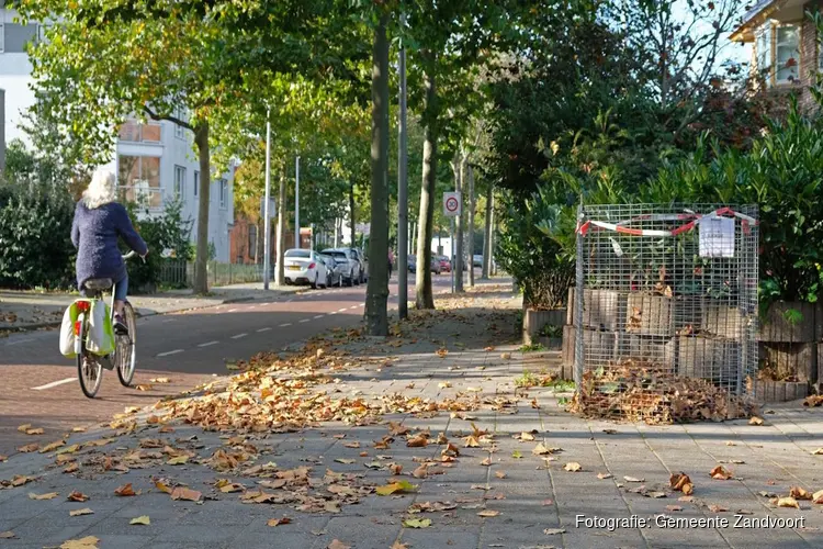 Spaarnelanden plaatst bladkorven