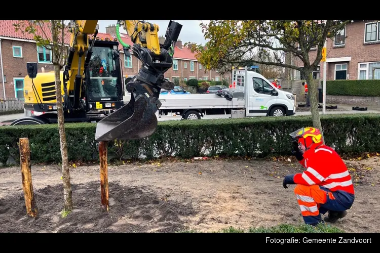 Groene opknapbeurt voor Nicolaas Beetslaan