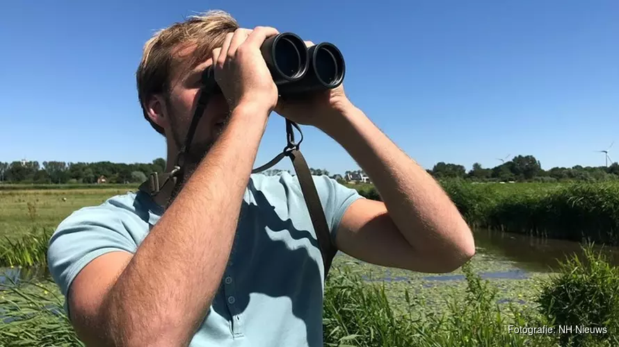 Droogte nekt weidevogels: Landschap Noord-Holland neemt maatregelen