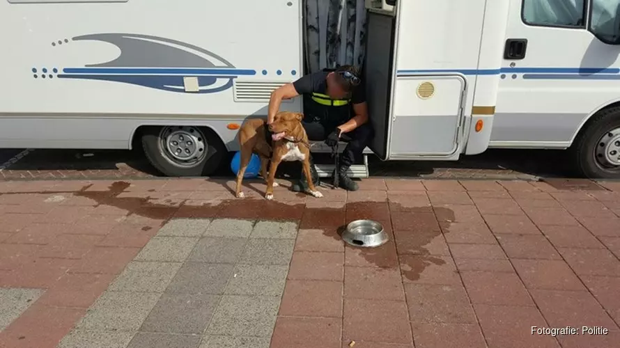 Politie bevrijdt hond uit camper op Zandvoortse boulevard