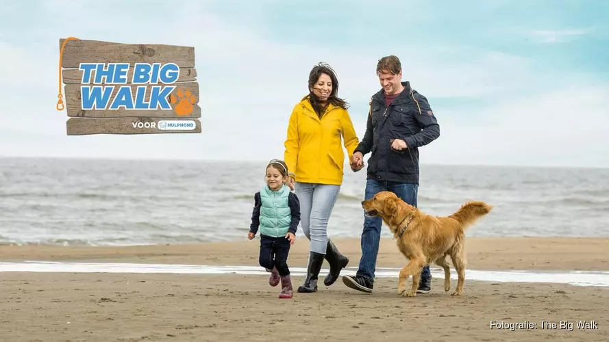 Vier de opening van het strandseizoen voor honden met de Big Walk van Hulphond Nederland