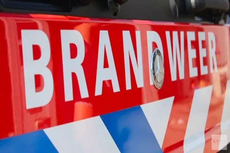 Meerdere brandjes in duinen Zandvoort