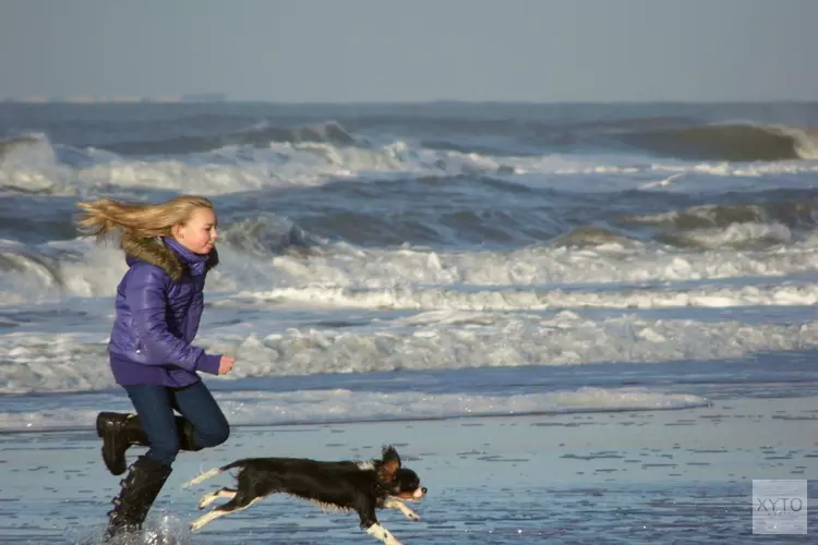 Wanneer met je hond of paard op het strand?